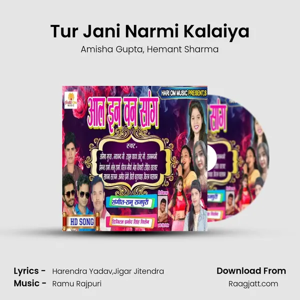 Tur Jani Narmi Kalaiya - Amisha Gupta album cover 