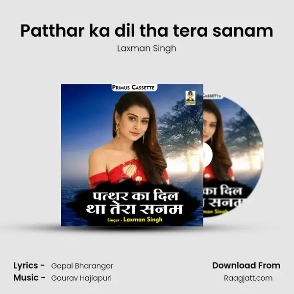 Patthar ka dil tha tera sanam mp3 song