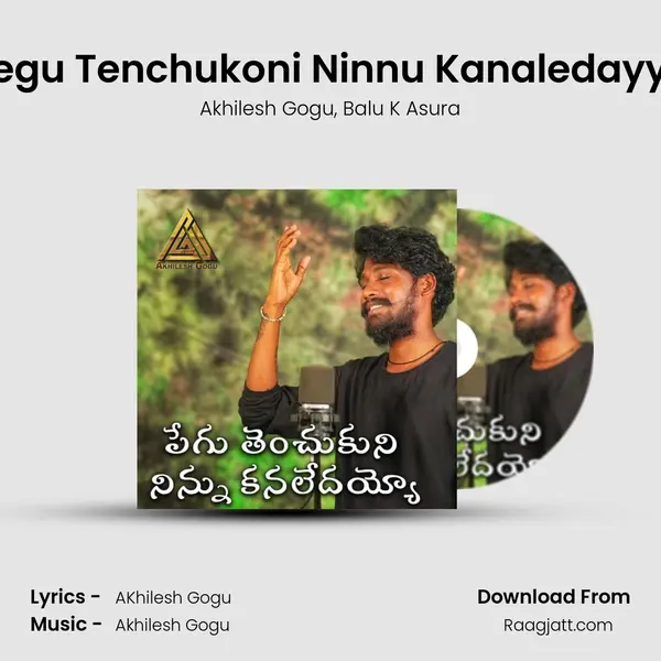 Pegu Tenchukoni Ninnu Kanaledayyo mp3 song