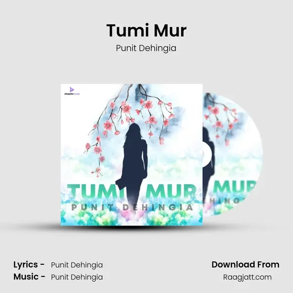 Tumi Mur - Punit Dehingia album cover 