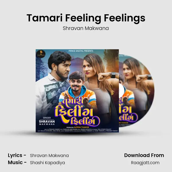 Tamari Feeling Feelings - Shravan Makwana album cover 