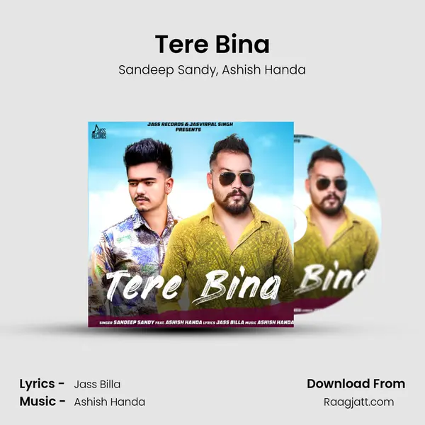 Tere Bina - Sandeep Sandy album cover 