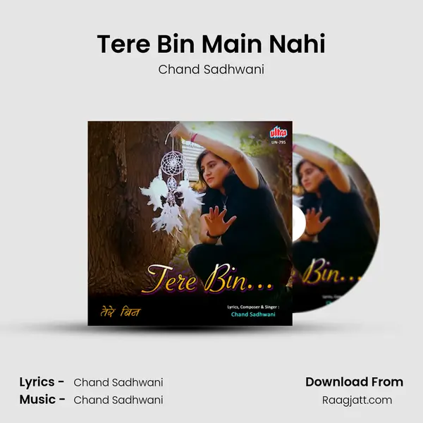 Tere Bin Main Nahi mp3 song