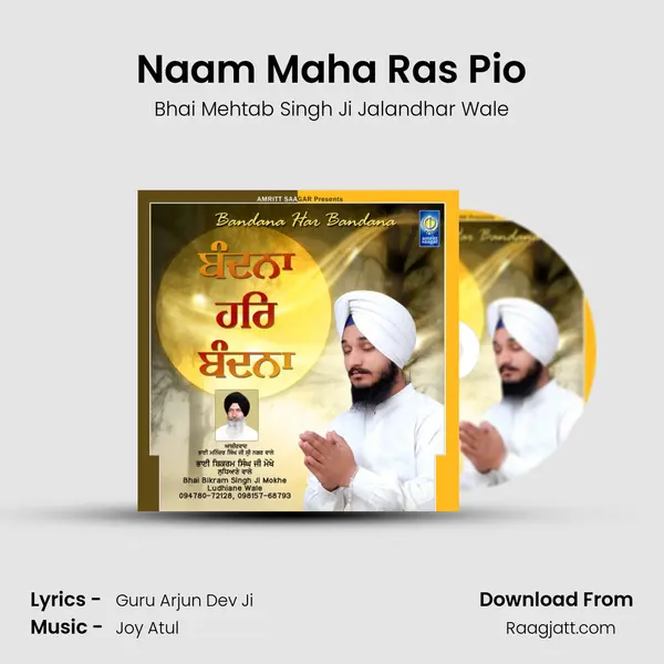 Naam Maha Ras Pio - Bhai Mehtab Singh Ji Jalandhar Wale album cover 