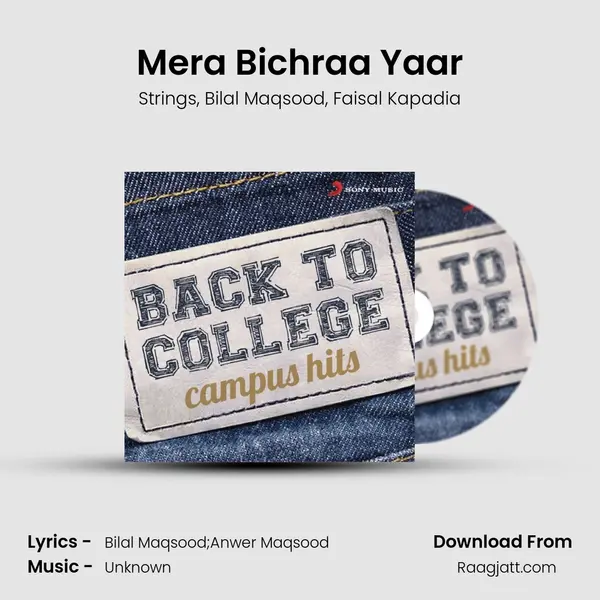 Mera Bichraa Yaar - Strings album cover 