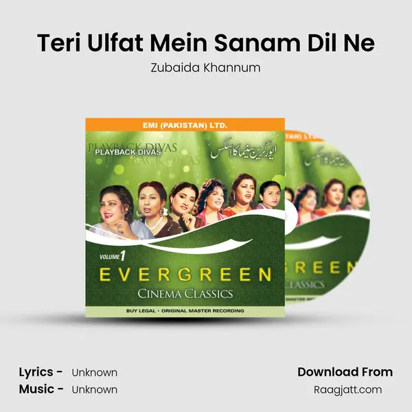 Teri Ulfat Mein Sanam Dil Ne mp3 song