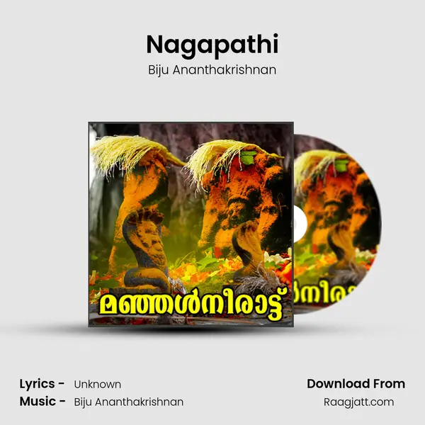 Nagapathi - Biju Ananthakrishnan album cover 