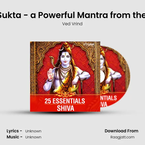 Rudra Sukta - a Powerful Mantra from the Vedas mp3 song