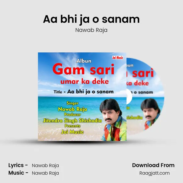 Aa bhi ja o sanam - Nawab Raja album cover 