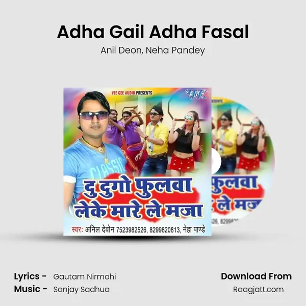 Adha Gail Adha Fasal - Anil Deon album cover 