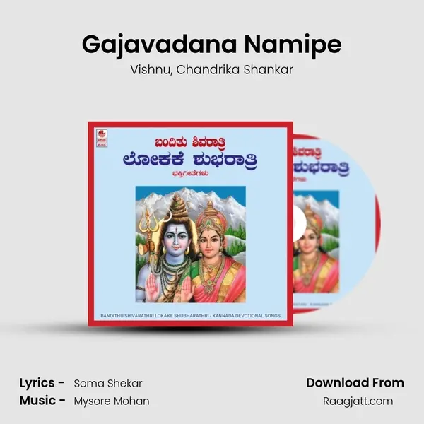 Gajavadana Namipe - Vishnu album cover 