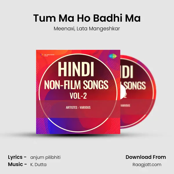 Tum Ma Ho Badhi Ma - Meenaxi album cover 