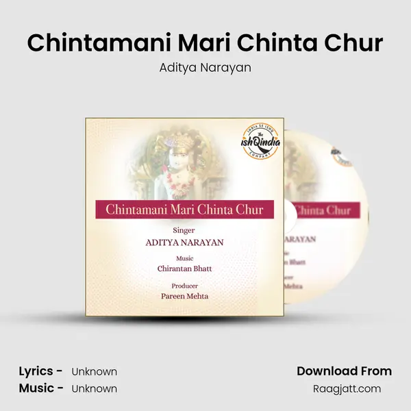 Chintamani Mari Chinta Chur - Aditya Narayan album cover 