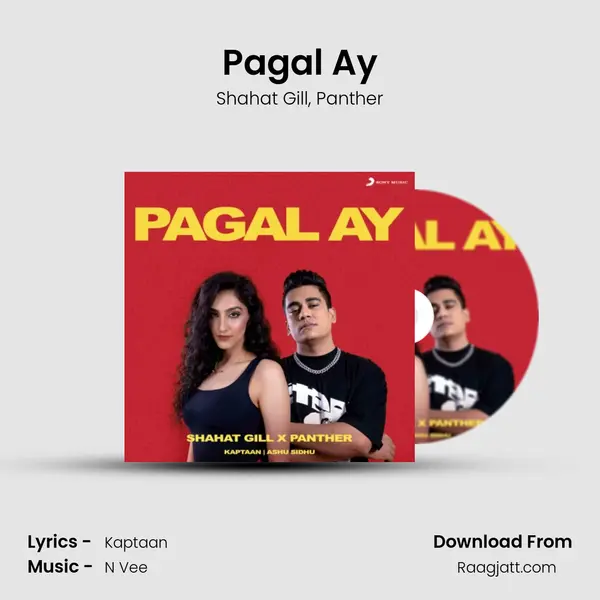 Pagal Ay - Shahat Gill album cover 