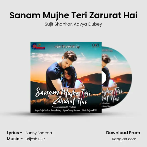 Sanam Mujhe Teri Zarurat Hai - Sujit Shankar album cover 