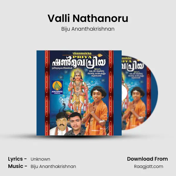 Valli Nathanoru - Biju Ananthakrishnan album cover 