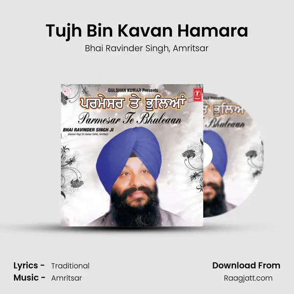 Tujh Bin Kavan Hamara mp3 song