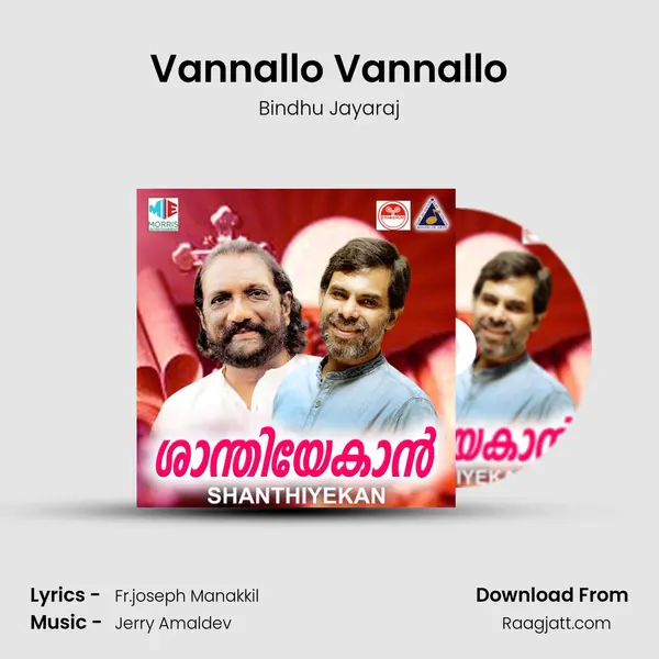 Vannallo Vannallo - Bindhu Jayaraj album cover 