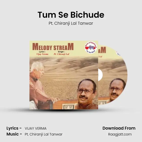 Tum Se Bichude mp3 song