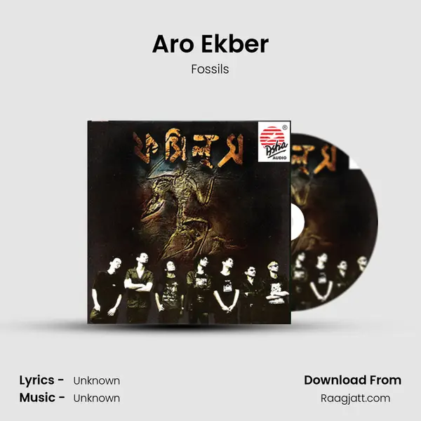 Aro Ekber - Fossils album cover 