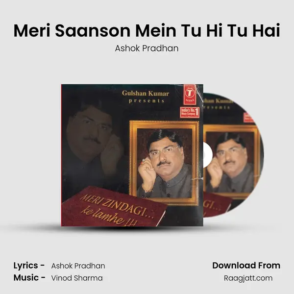 Meri Saanson Mein Tu Hi Tu Hai mp3 song