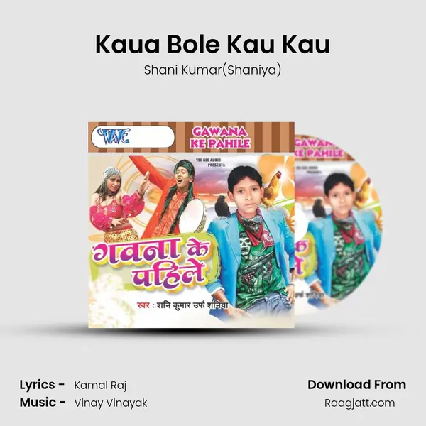 Kaua Bole Kau Kau - Shani Kumar(Shaniya) album cover 