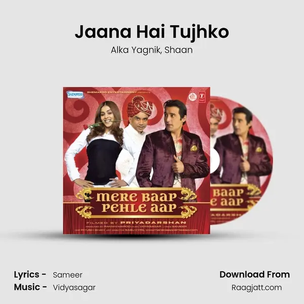 Jaana Hai Tujhko - Alka Yagnik album cover 