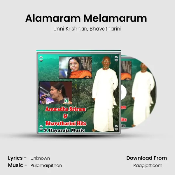 Alamaram Melamarum (From Senthuram) - Unni Krishnan album cover 