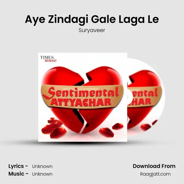 Aye Zindagi Gale Laga Le - Suryaveer album cover 