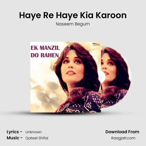 Haye Re Haye Kia Karoon - Naseem Begum album cover 