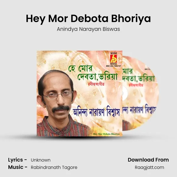 Hey Mor Debota Bhoriya - Anindya Narayan Biswas album cover 