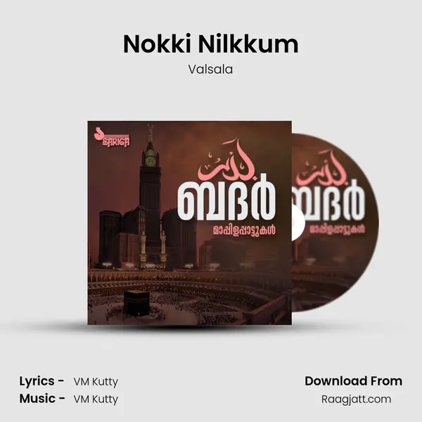 Nokki Nilkkum - Valsala album cover 