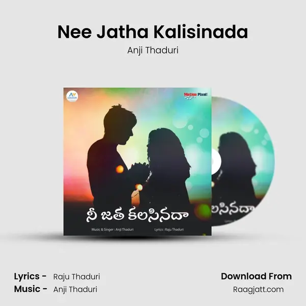 Nee Jatha Kalisinada - Anji Thaduri album cover 