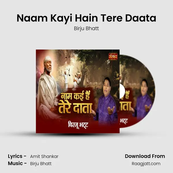 Naam Kayi Hain Tere Daata - Birju Bhatt album cover 