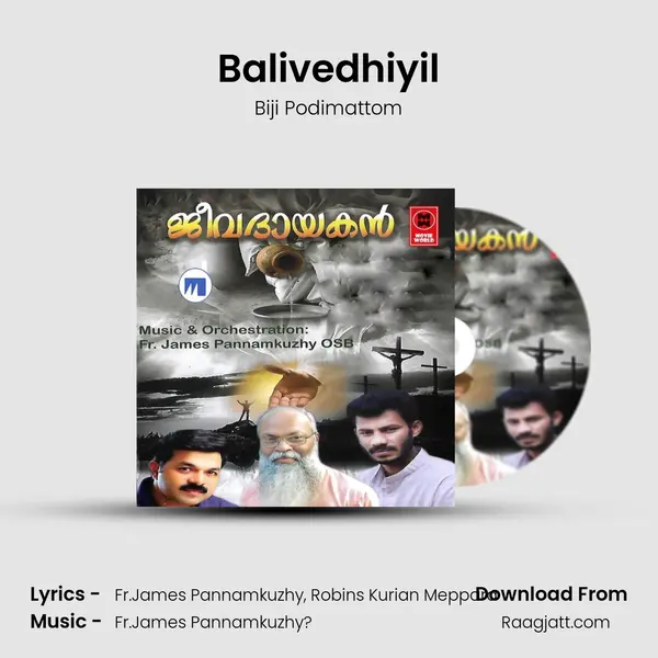 Balivedhiyil mp3 song