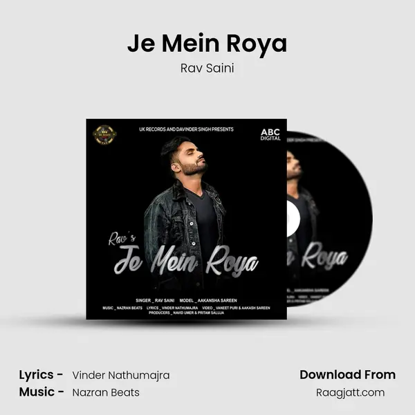 Je Mein Roya - Rav Saini album cover 