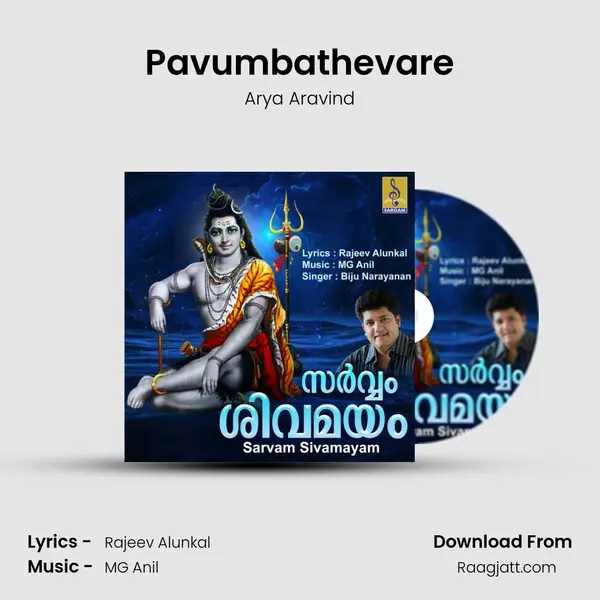 Pavumbathevare - Arya Aravind album cover 