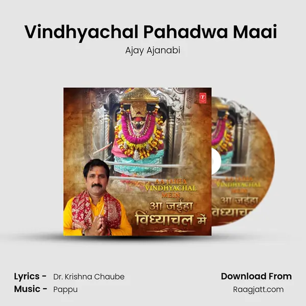 Vindhyachal Pahadwa Maai (From Navratar Ke Mela) mp3 song