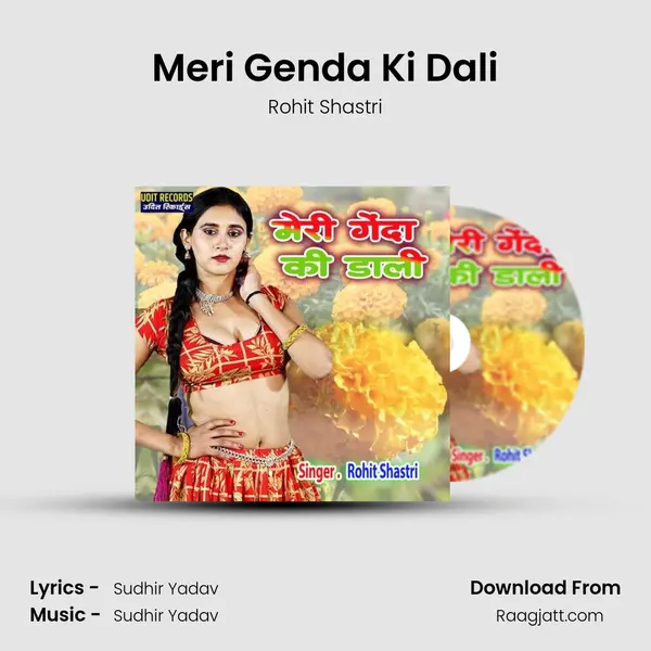 Meri Genda Ki Dali - Rohit Shastri album cover 