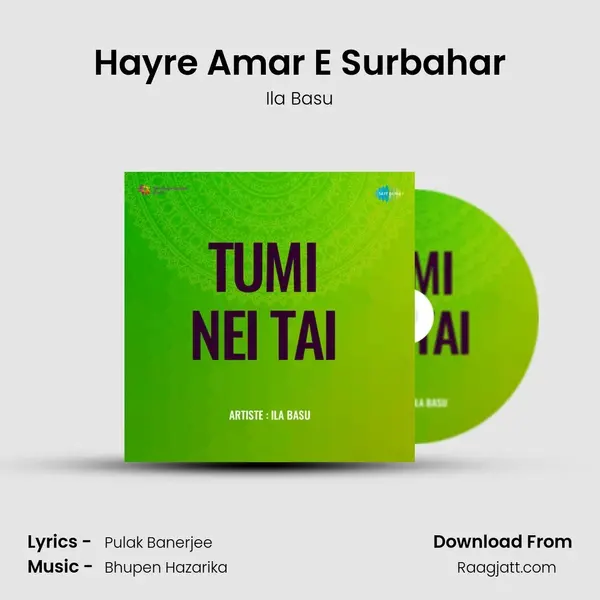 Hayre Amar E Surbahar mp3 song