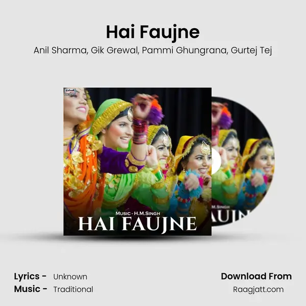 Hai Faujne - Anil Sharma album cover 