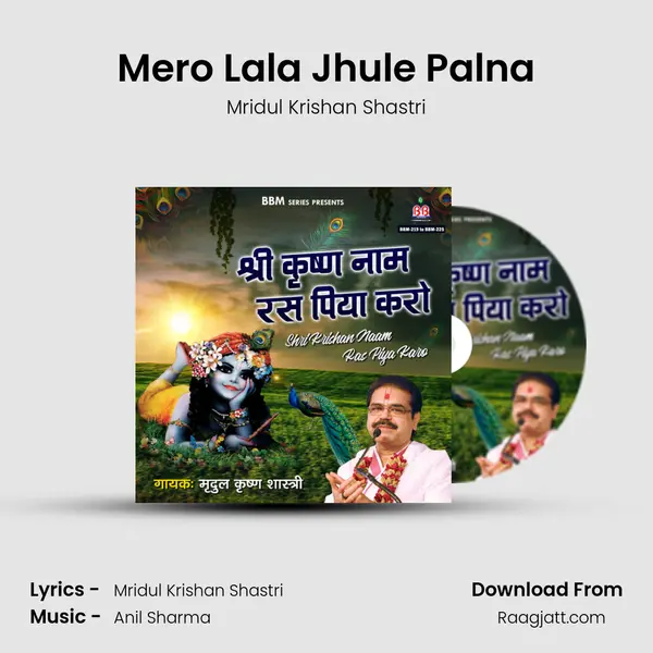 Mero Lala Jhule Palna - Mridul Krishan Shastri album cover 