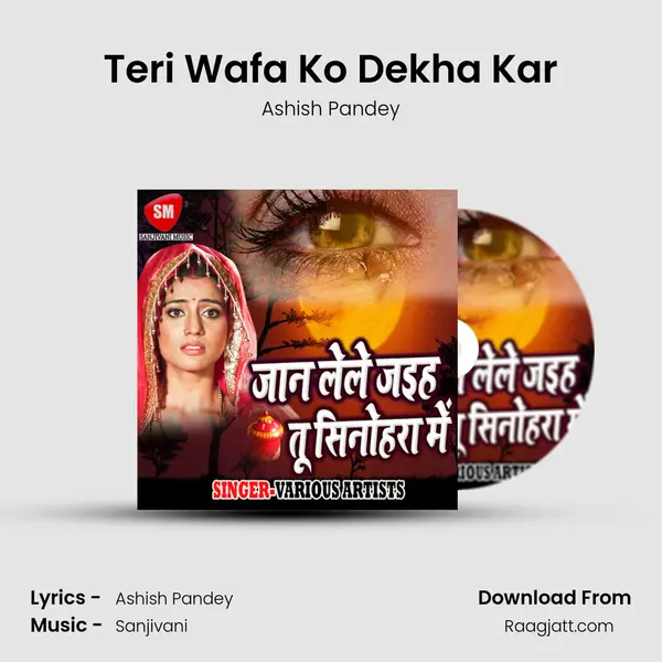 Teri Wafa Ko Dekha Kar mp3 song