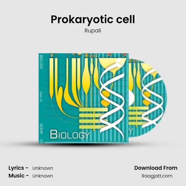 Prokaryotic cell mp3 song