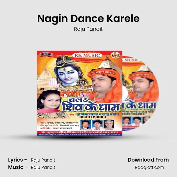 Nagin Dance Karele - Raju Pandit album cover 