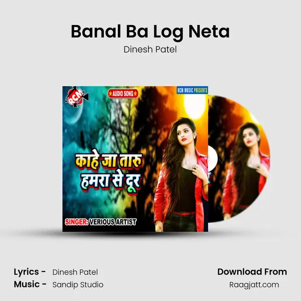 Banal Ba Log Neta - Dinesh Patel album cover 