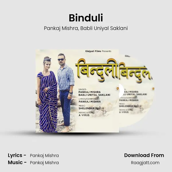 Binduli - Pankaj Mishra album cover 