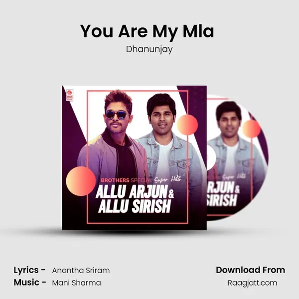 You Are My Mla (From Sarrainodu) mp3 song