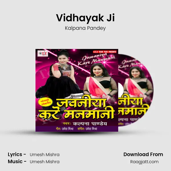 Vidhayak Ji - Kalpana Pandey album cover 