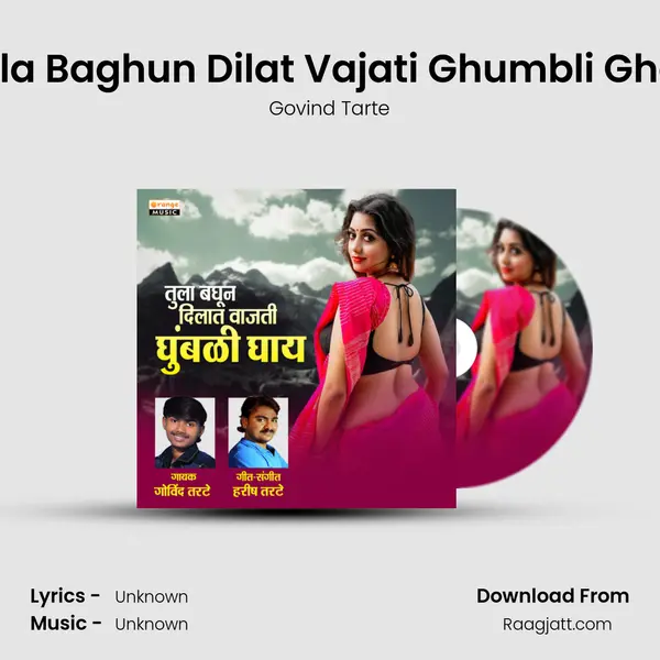 Tula Baghun Dilat Vajati Ghumbli Ghay mp3 song